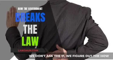 The Lawless Lawmakers: Government's Illegal Undertakings