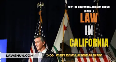 California's Governor Budget: Lawmaking Process