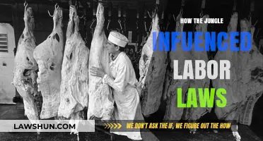 Jungle's Impact: How Upton Sinclair's Exposé Transformed Labor Laws