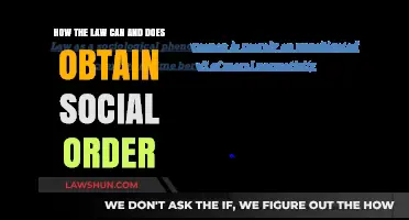 The Law's Social Order: A Force for Stability