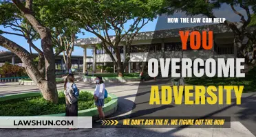The Law: Your Ally in Adversity