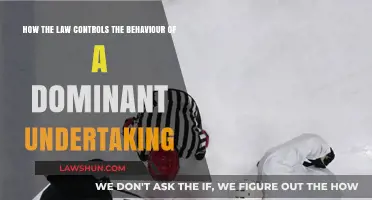 Dominant Undertakings: Legal Controls and Behavioral Compliance Explained