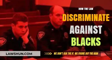 Systemic Inequities: Exploring Racial Bias in Legal Frameworks