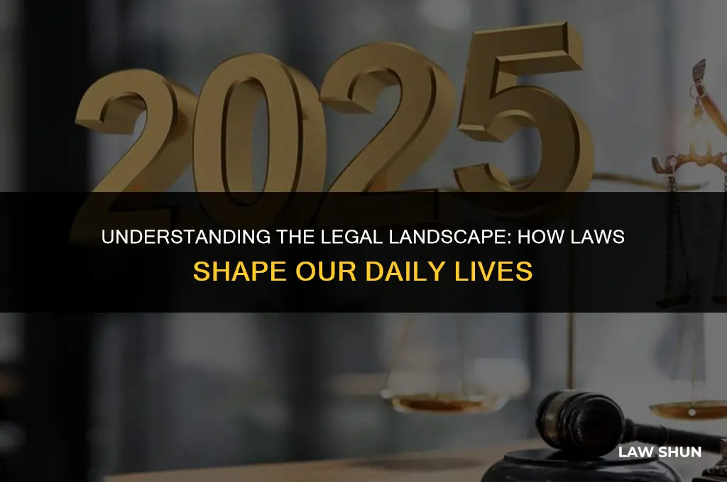 how the law impacts your life