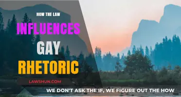 Legal Landscapes: Shaping Gay Rhetoric in Modern Discourse
