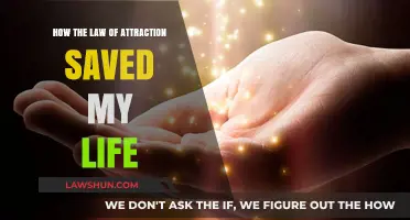 Law of Attraction: My Lifeline to Healing and Transformation