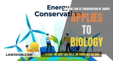 Energy Conservation Law: Biology's Essential Principle