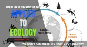 Conservation of Mass: Ecology's Foundation