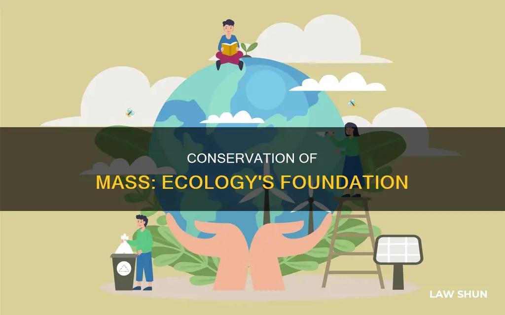 how the law of conservation of mass applies to ecology