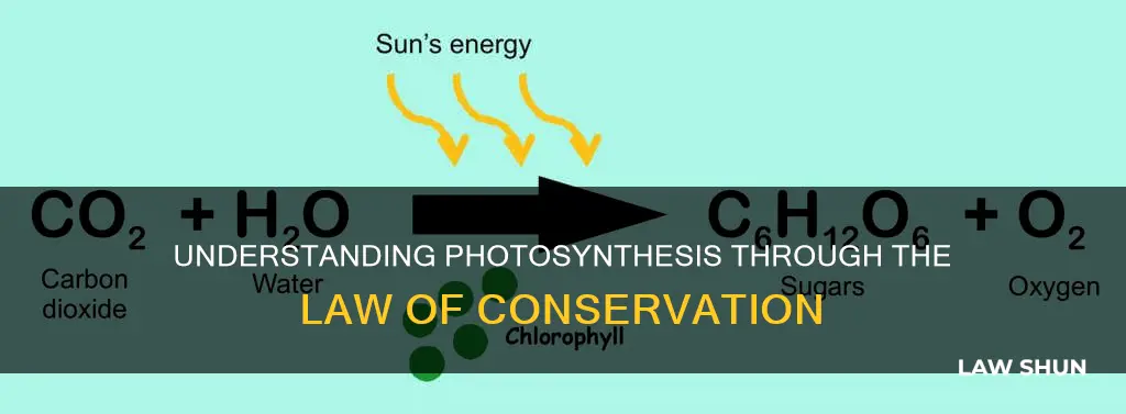 how the law of conservation of mass apply to photosynthesis