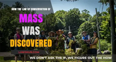 Unveiling the Discovery of Mass Conservation: A Scientific Journey