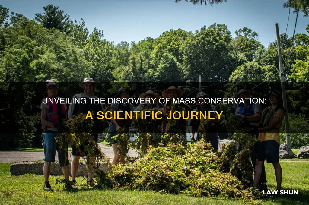 how the law of conservation of mass was discovered