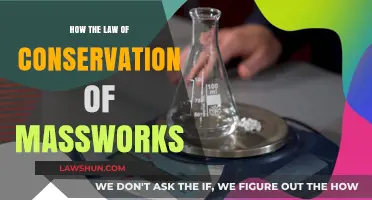 Understanding the Law of Conservation of Mass: Principles and Applications