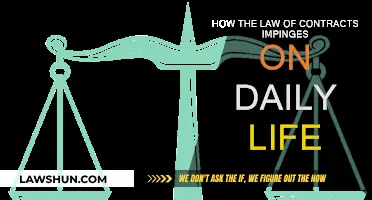 Contract Law: Its Everyday Impact and Importance