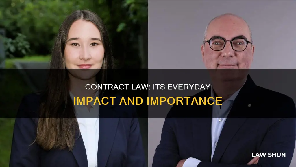 how the law of contracts impinges on daily life