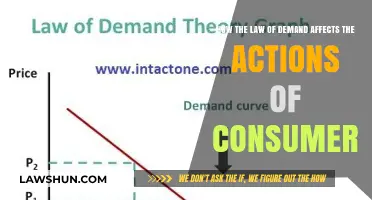 Understanding Consumer Behavior: The Law of Demand in Action