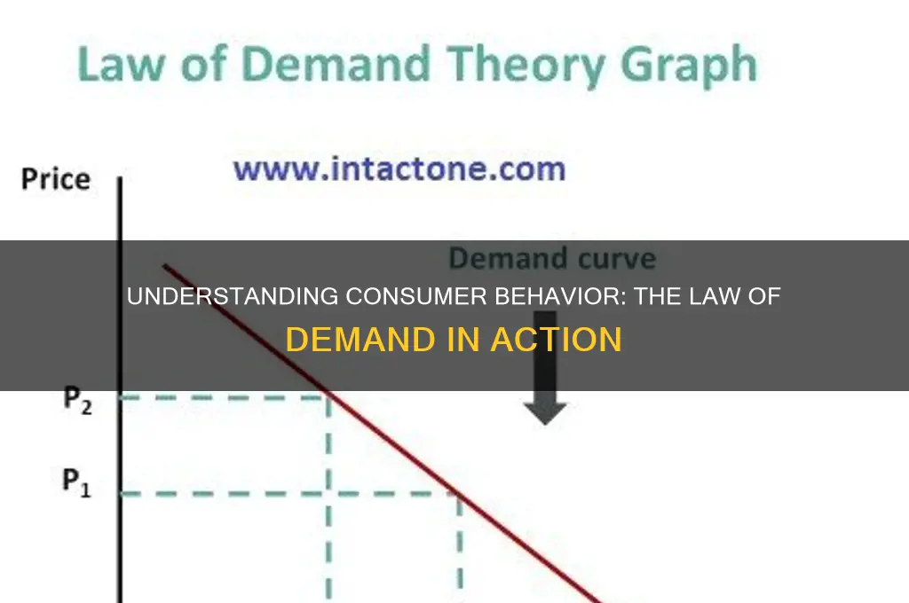 how the law of demand affects the actions of consumers