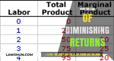 Maximizing Efficiency: Understanding the Law of Diminishing Returns