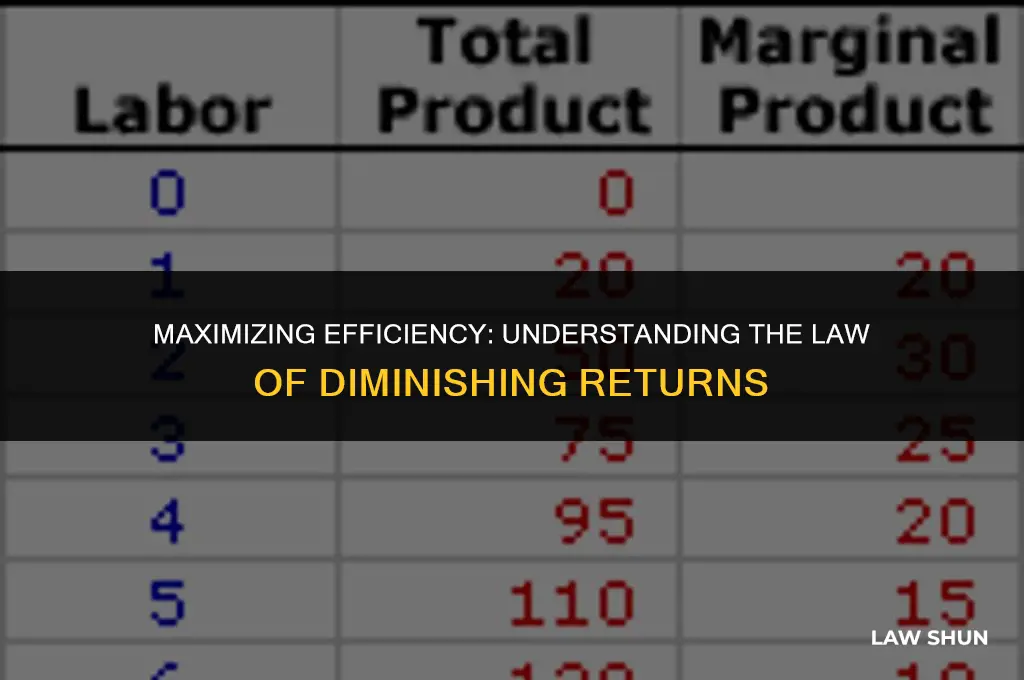 how the law of diminishing returns