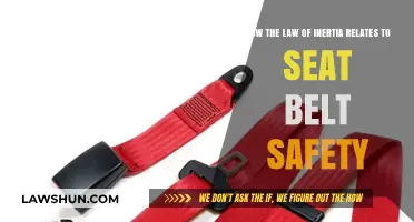 Inertia's Impact: Why Seat Belts Save Lives in Motion