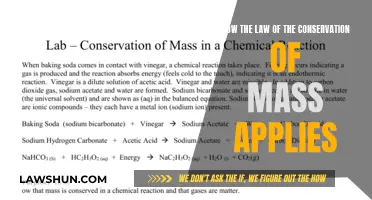 The Unchanging Law of Conservation of Mass