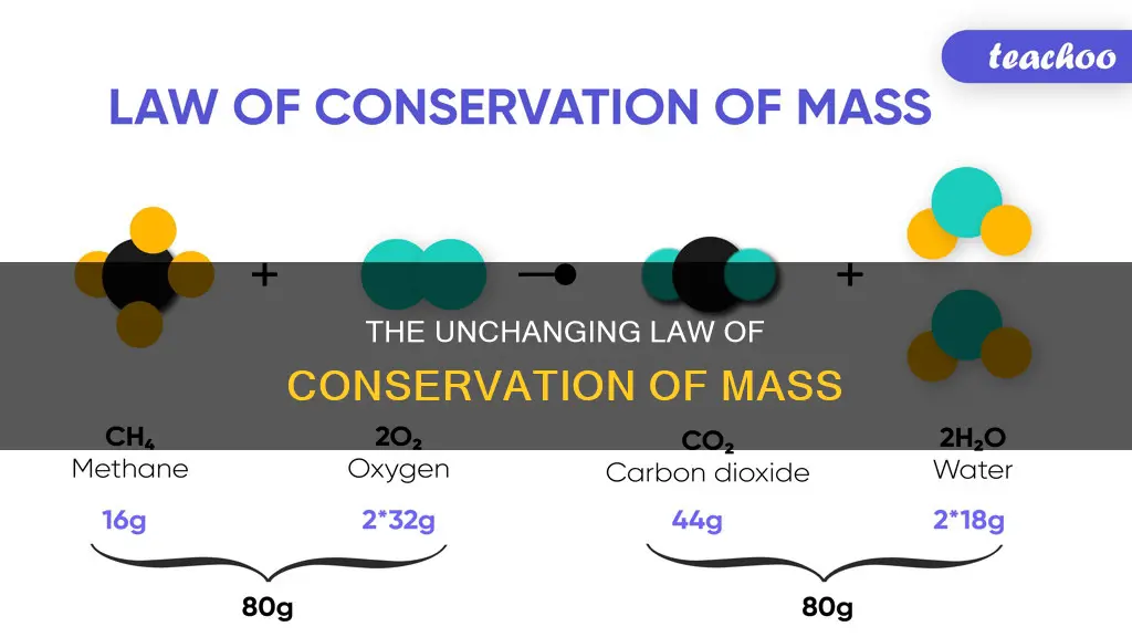 how the law of the conservation of mass applies