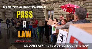 Passing Laws: Circumventing Congress