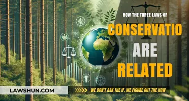 Understanding the Interconnectedness of Conservation Laws in Science