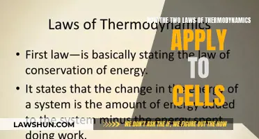 Cellular Thermodynamics: Two Laws, One System