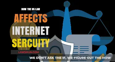 US Law's Impact on Internet Security: Challenges and Implications