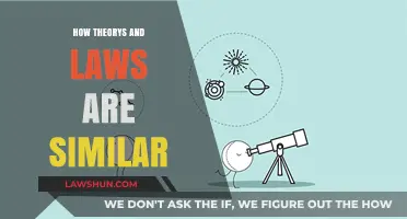 Exploring the Intricacies: How Theories and Laws Intertwine