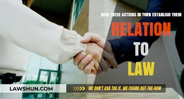 Actions, Law, and Their Interconnected Relationship: A Comprehensive Analysis
