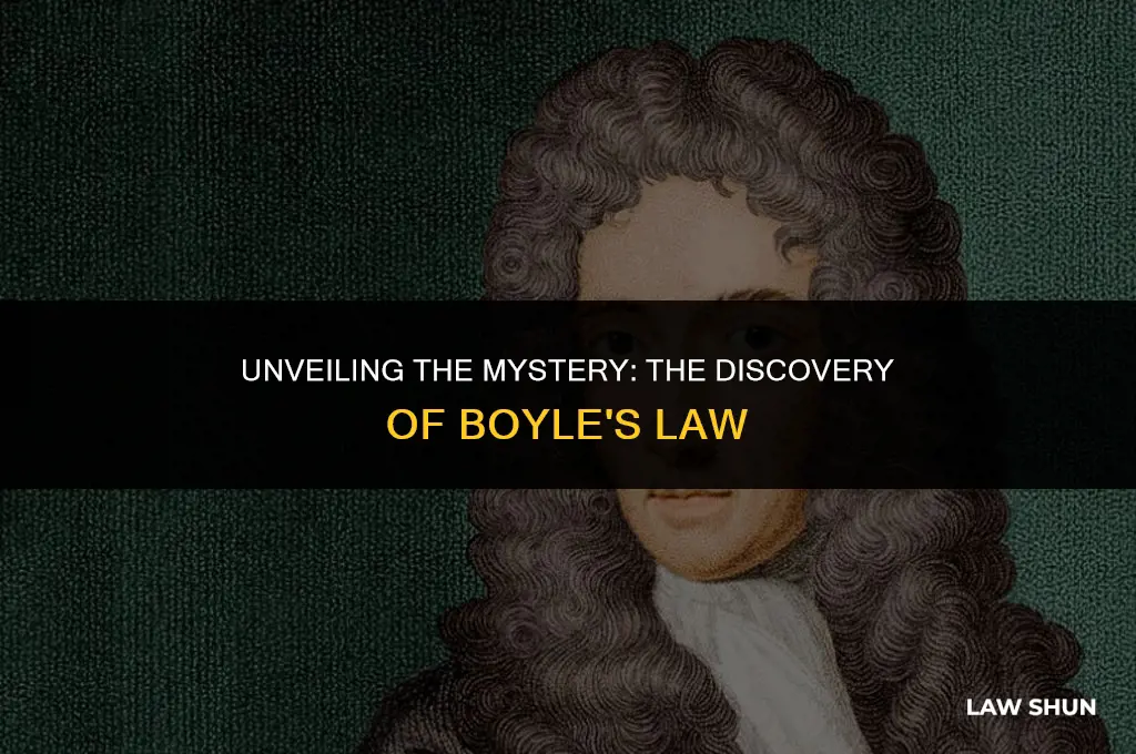 how they discoverd boyle