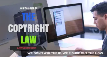Mastering Copyright Compliance: Essential Tips to Protect Your Content Legally