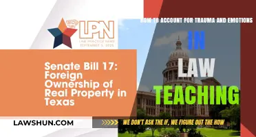 Teaching Law with Empathy: Integrating Trauma and Emotions in Legal Education