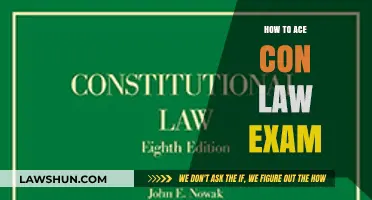 Mastering Constitutional Law: Strategies to Excel in Your Exam