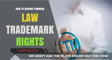Trademark Rights: How to Acquire Common Law Protection