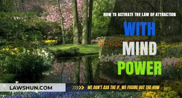 Unlocking Abundance: Mastering Mind Power to Activate the Law of Attraction