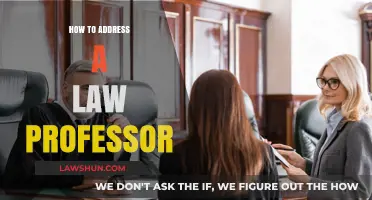 Navigating Academia: The Art of Addressing a Law Professor