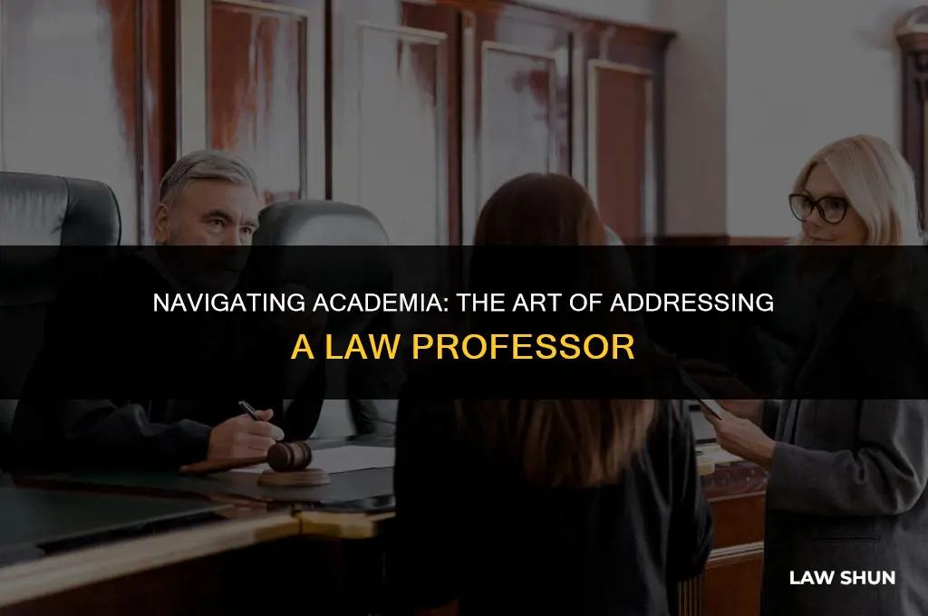 how to address a law professor