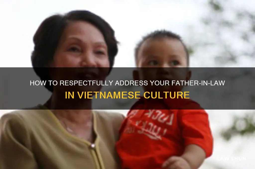 how to adress father in law in vietnamese
