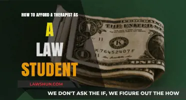 Affordable Therapy for Law Students: Balancing Mental Health and Budget