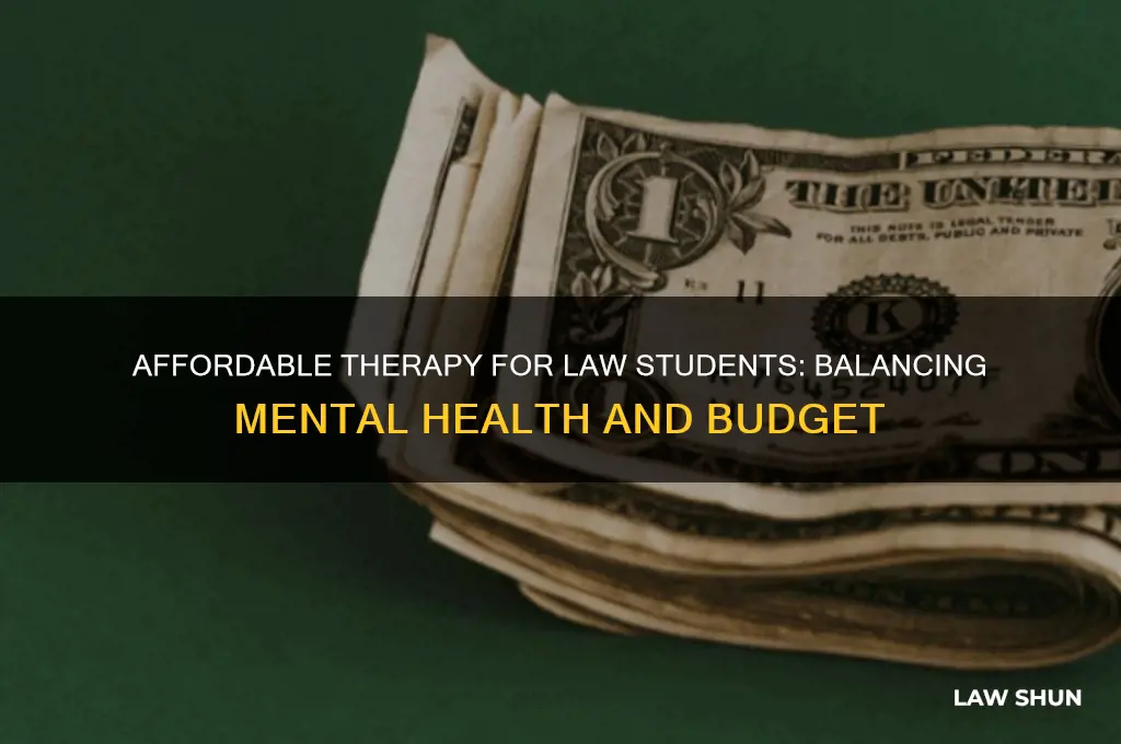 how to afford a therapist as a law student