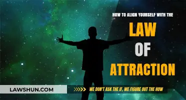 Mastering the Law of Attraction: Align Your Energy for Success