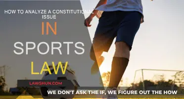 Exploring Sports Law: Constitutional Issue Analysis