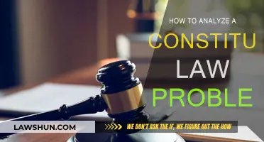 Strategies for Tackling Constitutional Law Problems