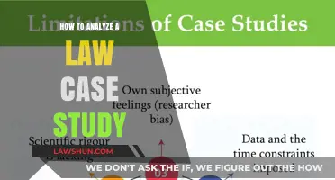 Strategies for Analyzing a Law Case Study