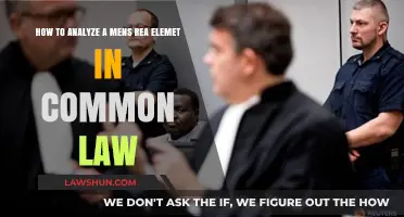 Mens Rea: Analyzing Criminal Minds in Common Law