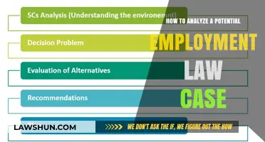 Employment Law: Analyzing a Potential Case