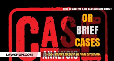 Case Law Analysis: Briefing Cases Effectively